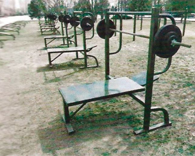 TY-JJ16 臥推訓練